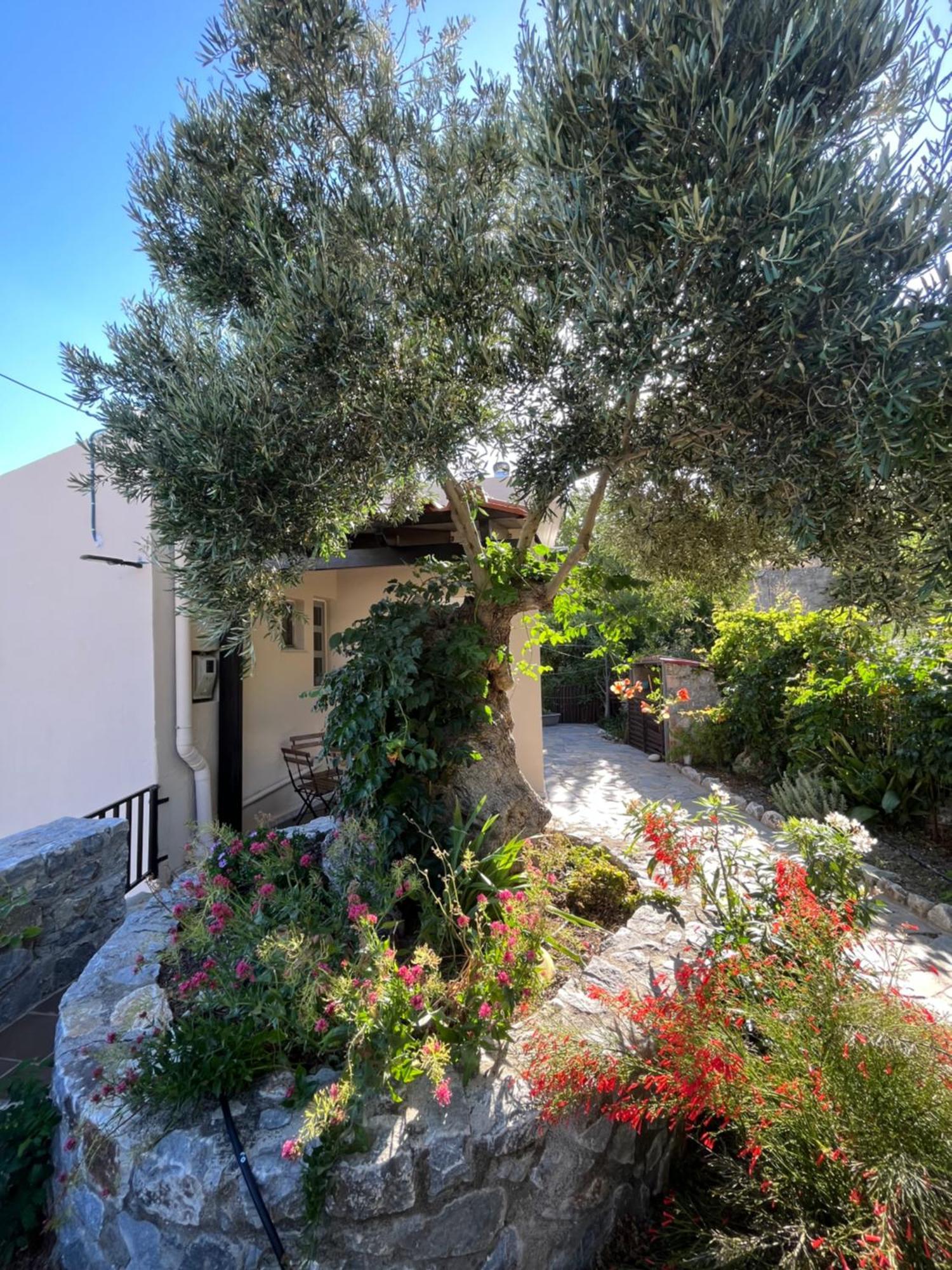 Villa Petasos House - Garden - Sea View Sellía Exterior foto